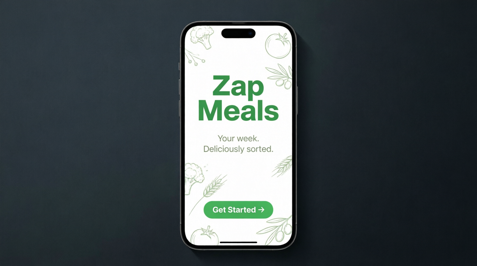 ZapMeals Onboarding Screenshot